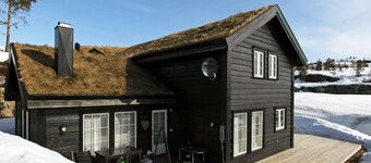 Holiday Home in Åseral