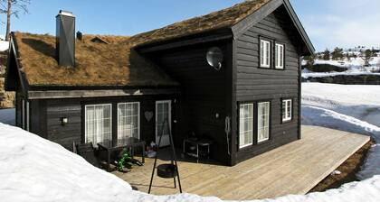 Holiday Home in Åseral