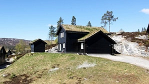 Ulkopuoli