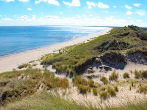 A beach with dunes and a clear sky.