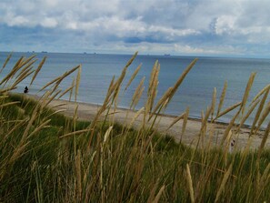 Une plage avec de hautes herbes au premier plan et une mer calme à l’arrière-plan.
