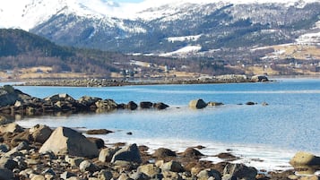 Ranta