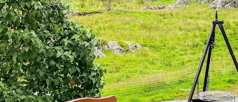 House | Outdoor dining