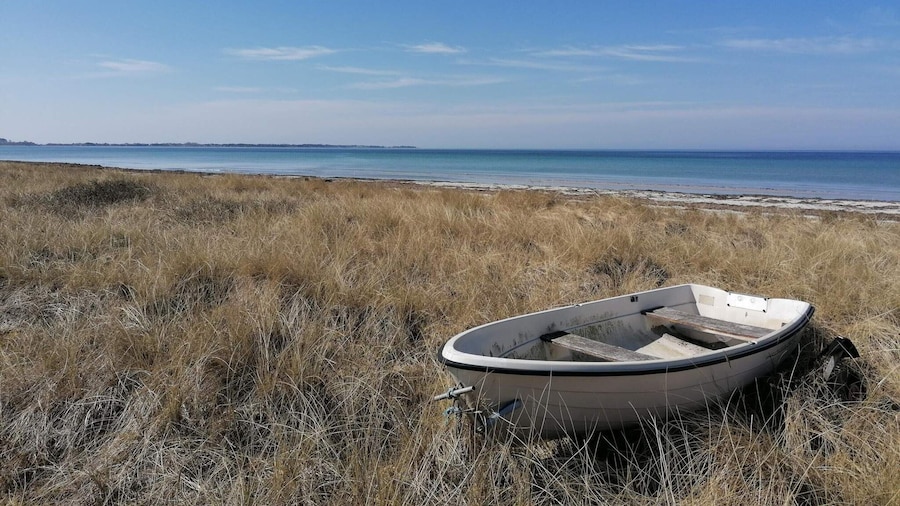 6 Person Holiday Home in Store Fuglede-by Traum