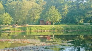 A calm lake with lily pads, surrounded by lush greenery and a small building in the background. - 5 Star Holiday Home in Lunderskov (Lunderskov)