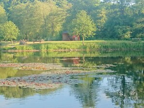 A calm lake with lily pads, surrounded by lush greenery and a small building in the background. - 5 Star Holiday Home in Lunderskov (Lunderskov)