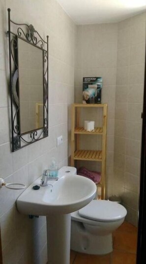 Bathtub, hair dryer, bidet, towels