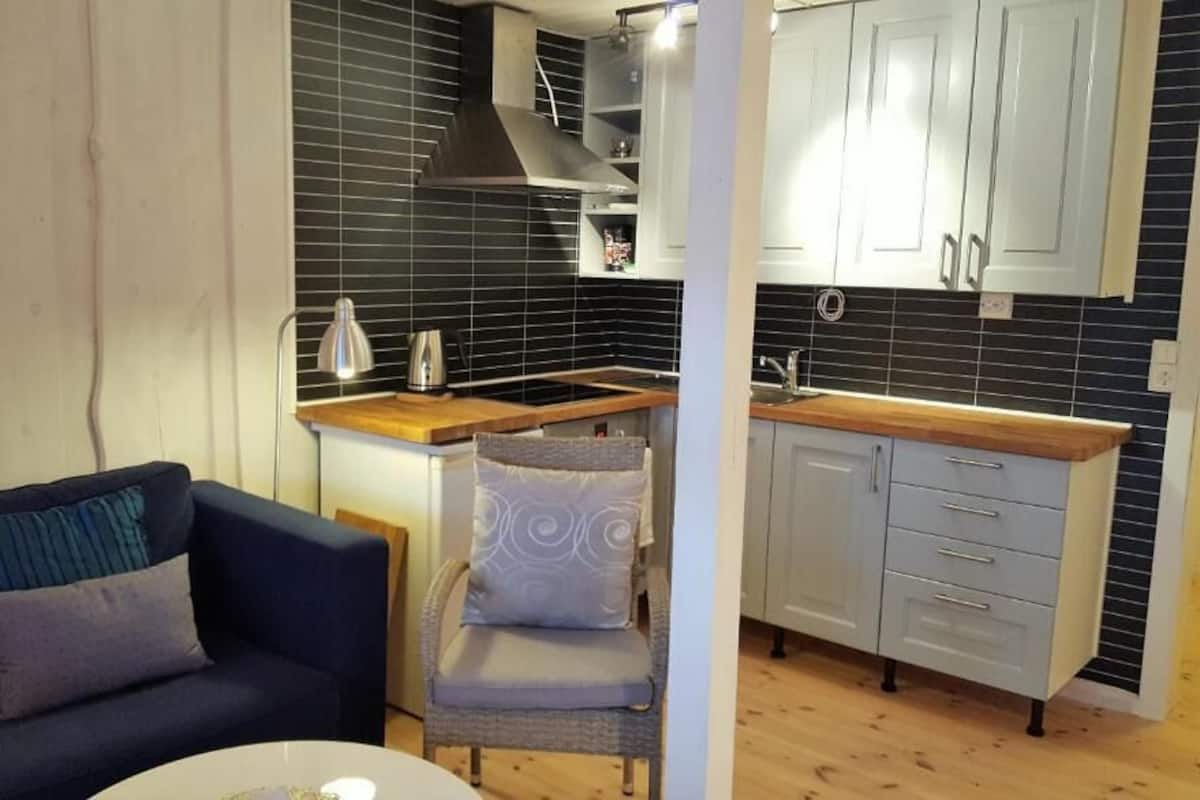 A compact living space with a kitchenette, a sofa, a chair, and a dining table.