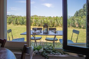 Apartamento, 1 habitación (Alloro) | Terraza o patio