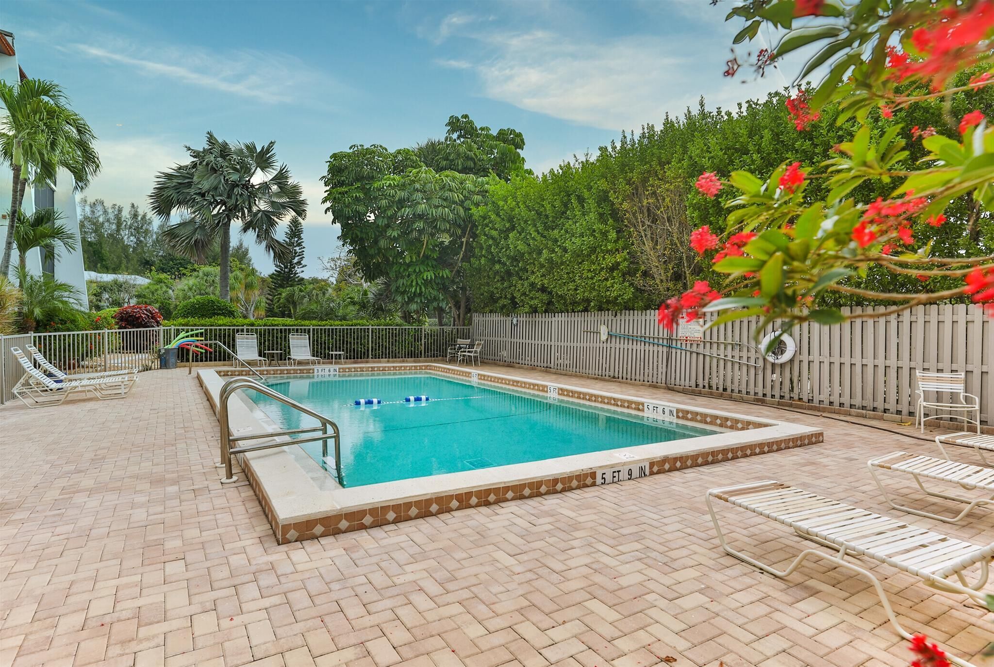 Una piscina rectangular con solárium azulejado, rodeada por una valla y palmeras.