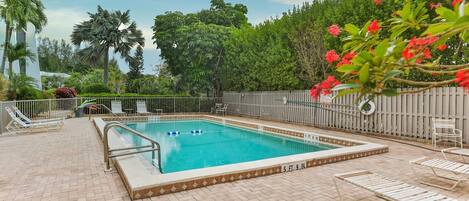 Una piscina rectangular con solárium azulejado, rodeada por una valla y palmeras.