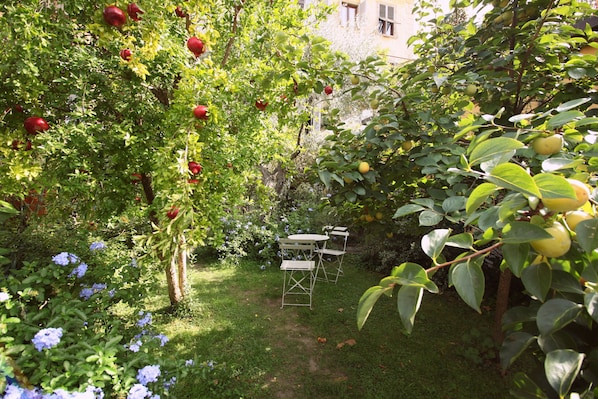 Jardin