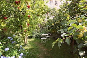 Jardim