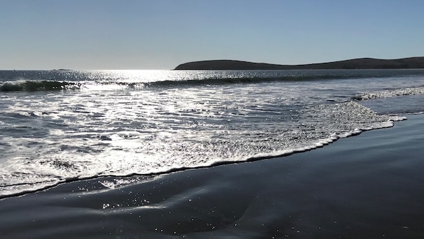 A beach with waves gently lapping onto the shore, a clear sky, and distant hills. - Ocean, Golf course and Mountain Views.Walk 3/4mi to the beach (Bodega Bay)