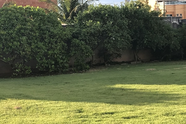 Property grounds