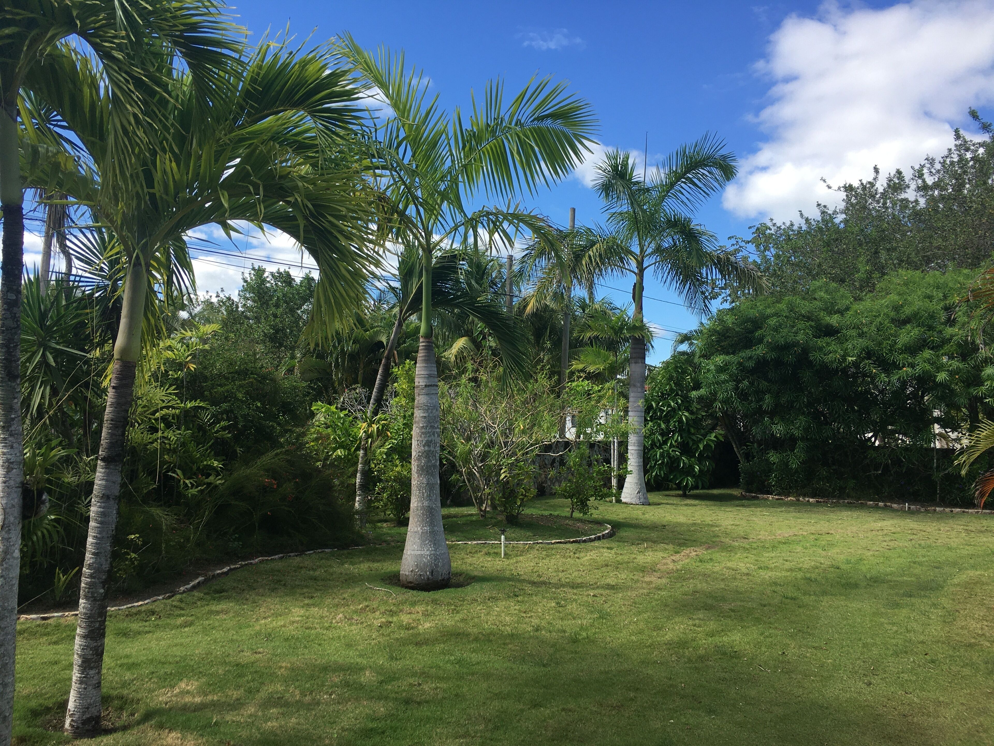 RM9 - Security Tower Garden View | Vue sur le jardin