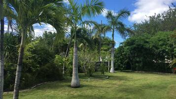 RM9 - Security Tower Garden View | Garden view