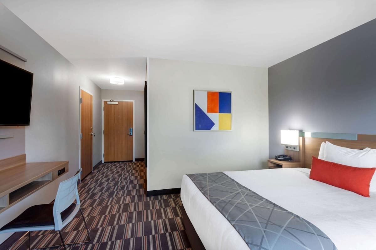 A hotel room with a bed, a desk, a chair, a TV, a door, and a wall art piece.