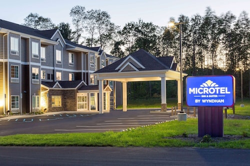 Microtel Inn & Suites by Wyndham Amsterdam