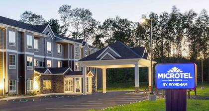 Microtel Inn & Suites by Wyndham Amsterdam