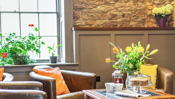Un salón acogedor con sofás de cuero, una mesa de centro de madera y una ventana con plantas.