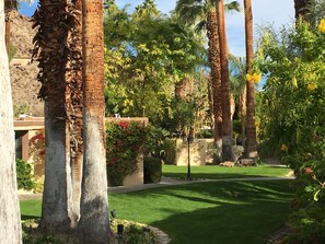 Un jardí ben cuidat amb palmeres, gespa i un camí.
