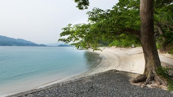 Bãi biển
