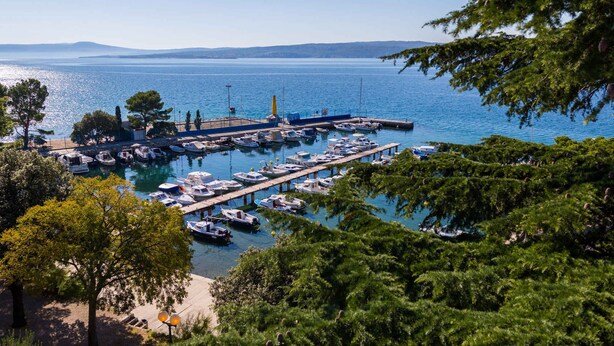Una marina con barche ormeggiate, circondata da alberi e una vista limpida sull'acqua.