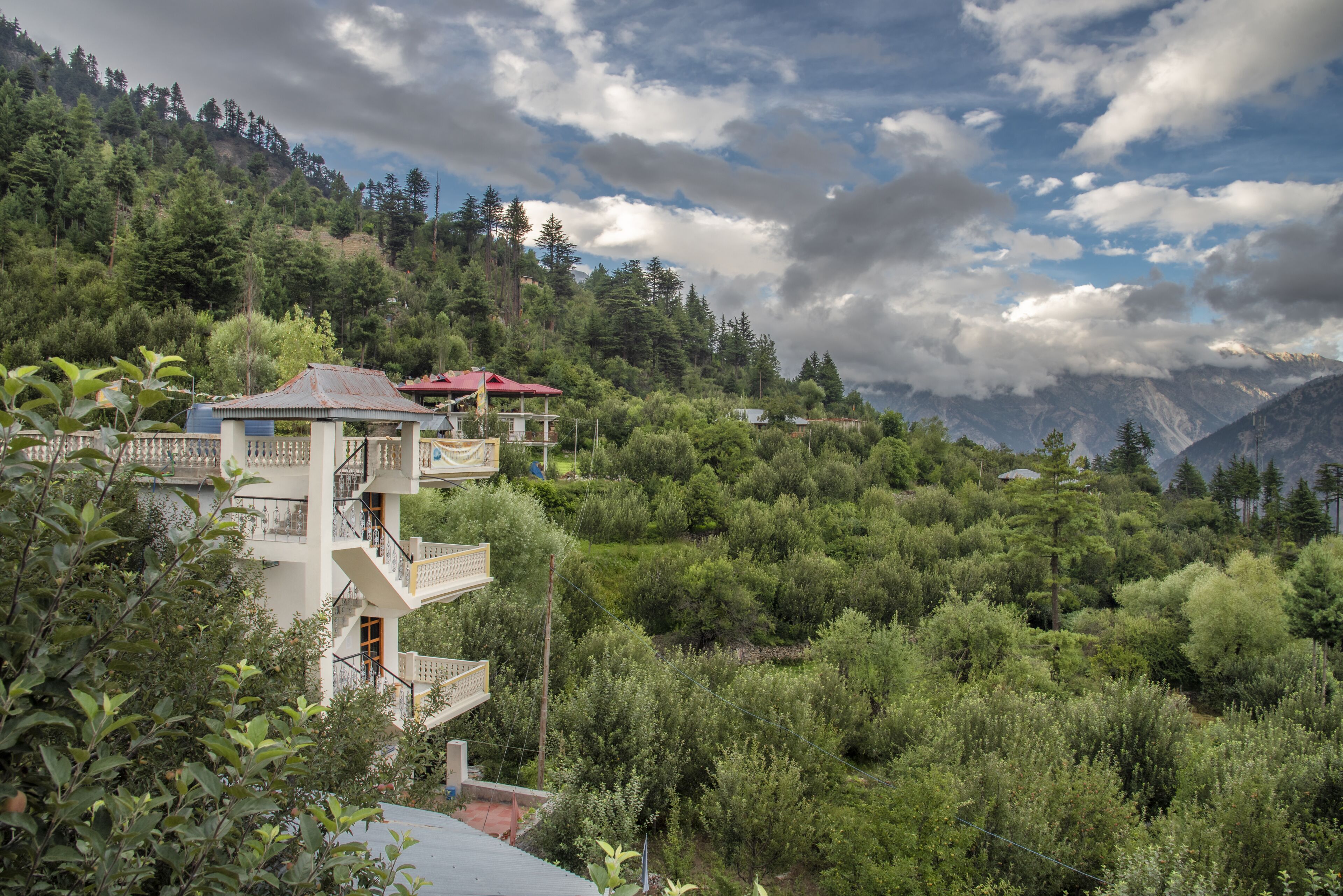 Wildtrails by Livingstone Standard Room