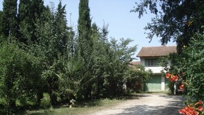 Eine Landstraße führt zu einem Haus, das von dichtem Grün und hohen Bäumen umgeben ist.