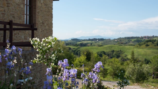 A stone building with a window and a view of a green landscape with hills in the distance.