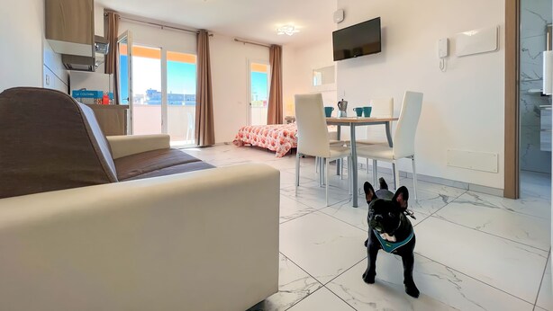 Une chambre d’hôtel moderne avec un canapé, une table à manger et des chaises, un téléviseur fixé au mur, et un chien debout sur le sol.
