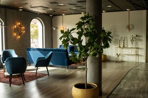 Una sala de estar moderna con un sofá azul, una mesa de centro y una planta en maceta.