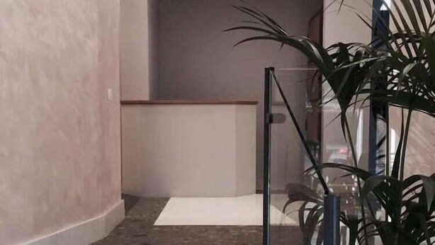 Un interior moderno con una escalera que sube a un nivel superior, barandilla de cristal y una planta en maceta.