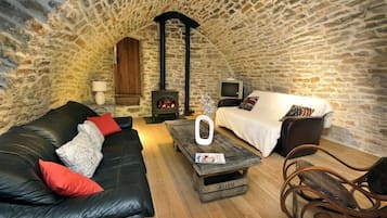 TV, fireplace, books