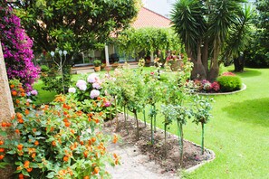 Property grounds - Duplex Playa de Rons - Less than 50 m. from the beach, with pool and garden (O Grove)