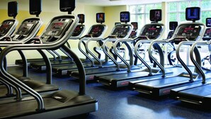 A row of treadmills with digital displays, arranged in a gym with a blue floor and large windows in the background.