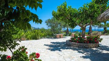 Jardin