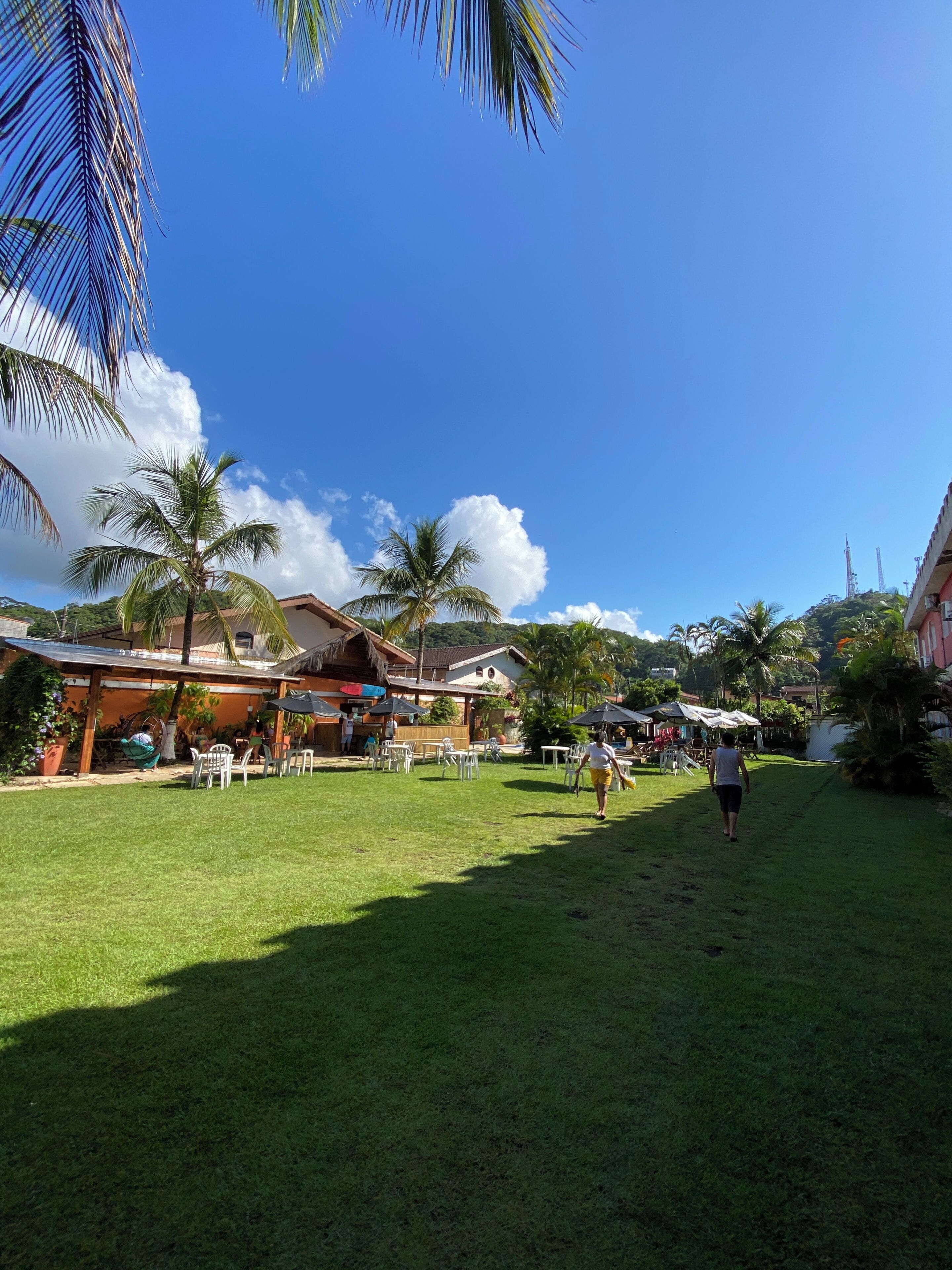 A grassy outdoor area with palm trees, a covered seating area, and a building with a sloped roof.