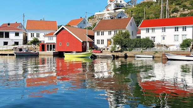 A harbor with boats, a red building, and white houses with red roofs. - 4 Person Holiday Home in Lyngdal (Lyngdal)