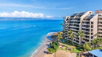 Condo, 2 Bedrooms | Beach | On the beach