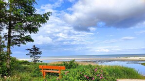 A bench in a natural setting with a view of the beach and ocean. - 6 Person Holiday Home in Bjert-by Traum (Bjert)