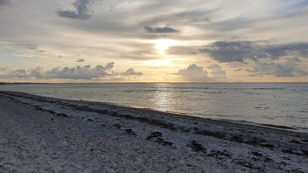 A beach with a clear sky and the sun setting over the horizon. - 5 Star Holiday Home in Allingabro (Allingåbro)