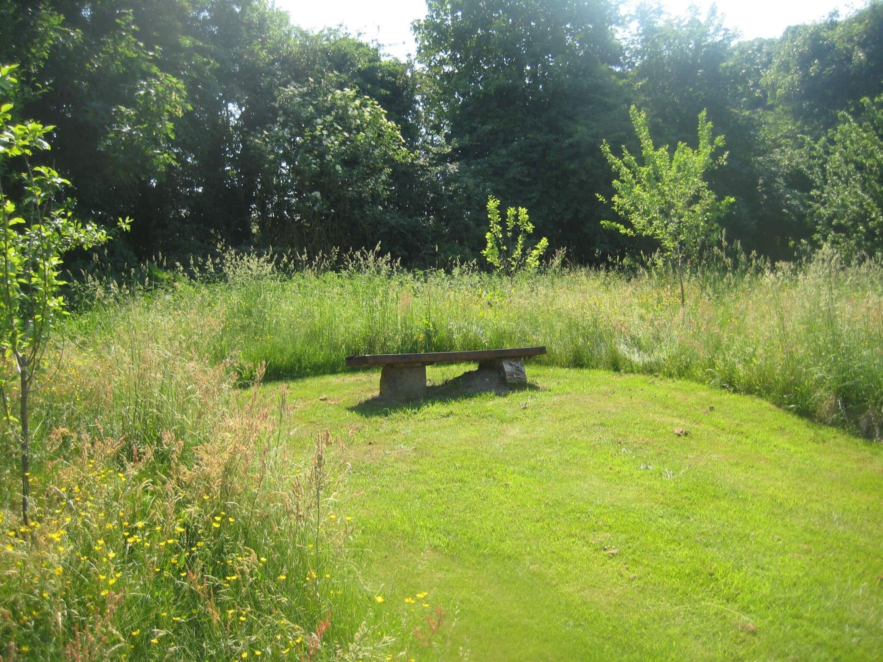 A grassy area with a stone bench surrounded by wildflowers and trees.