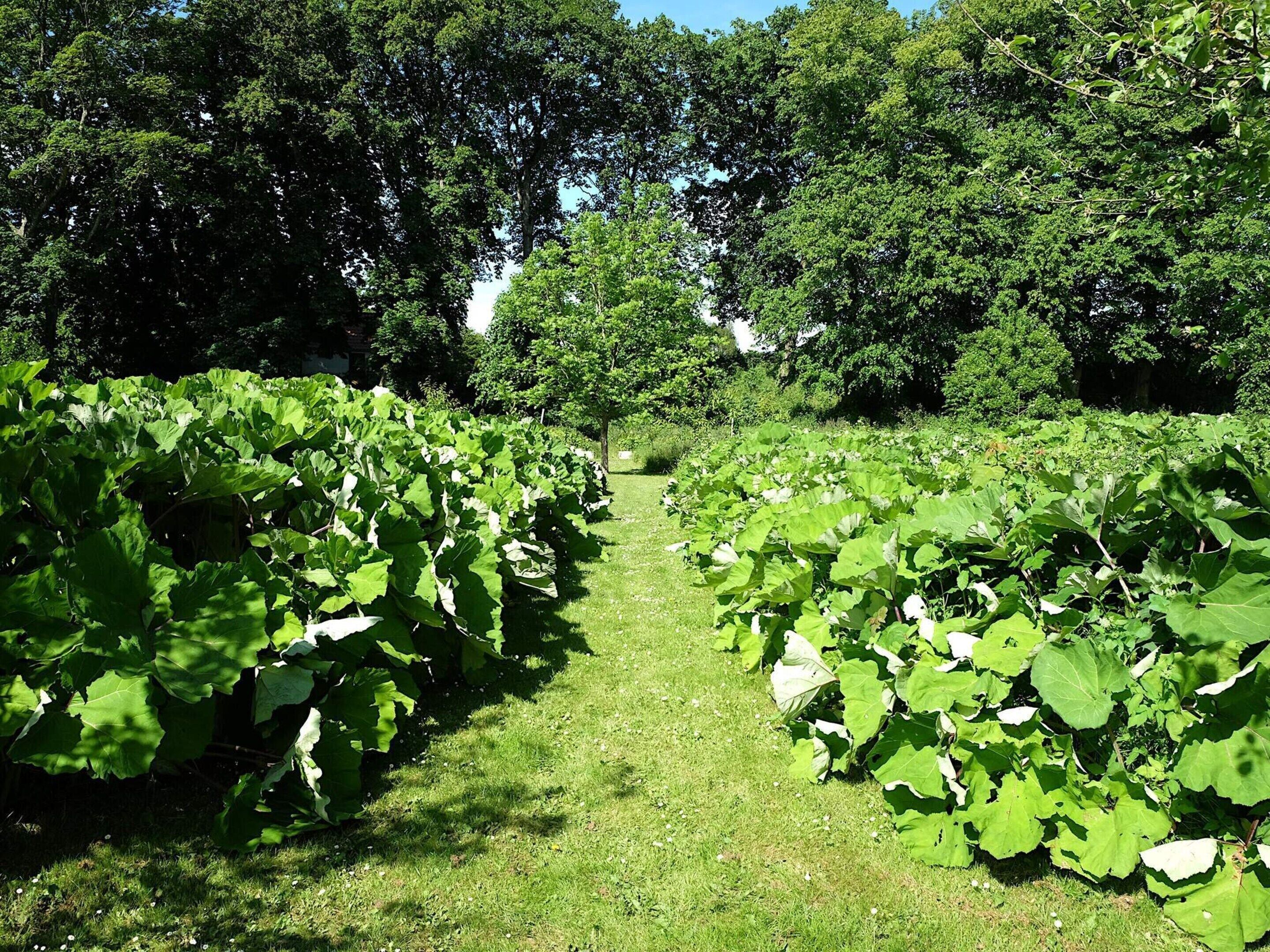 Rumah | Halaman properti