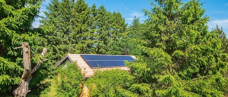 Uma casa com telhado solar cercada por árvores verdes e densas.