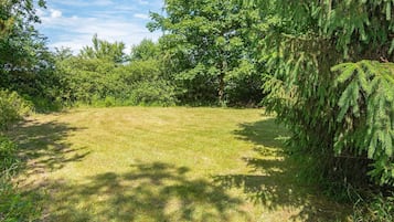 A grassy field with trees and a clear sky.