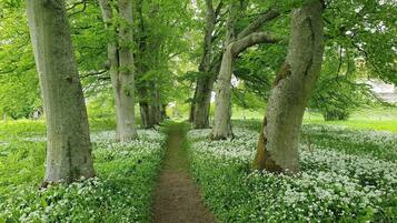 独立别墅 | 住宿场地