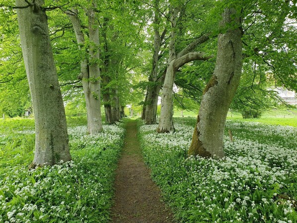 Hus | Overnattingsstedets uteområder