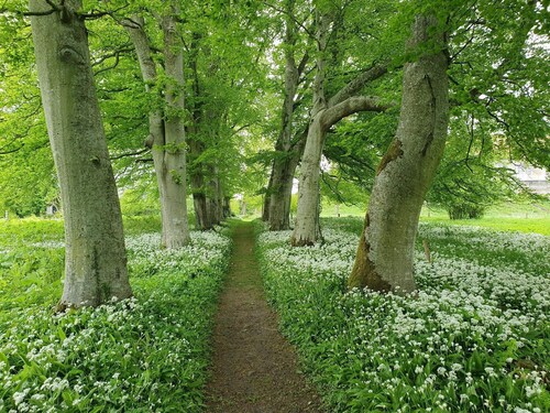 6 Person Holiday Home in Hojslev-by Traum